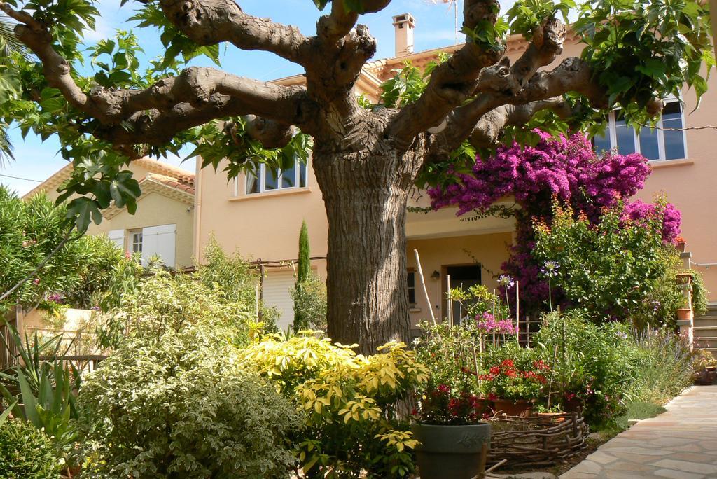 L' Escale Tranquille Bed & Breakfast Sète Eksteriør bilde
