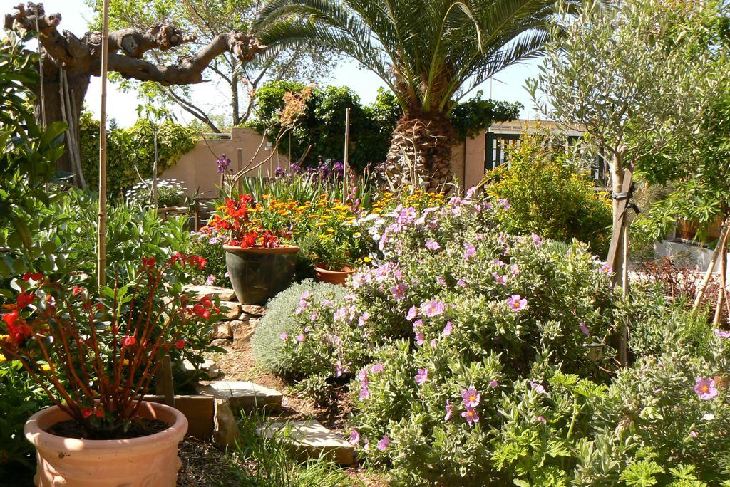 L' Escale Tranquille Bed & Breakfast Sète Eksteriør bilde